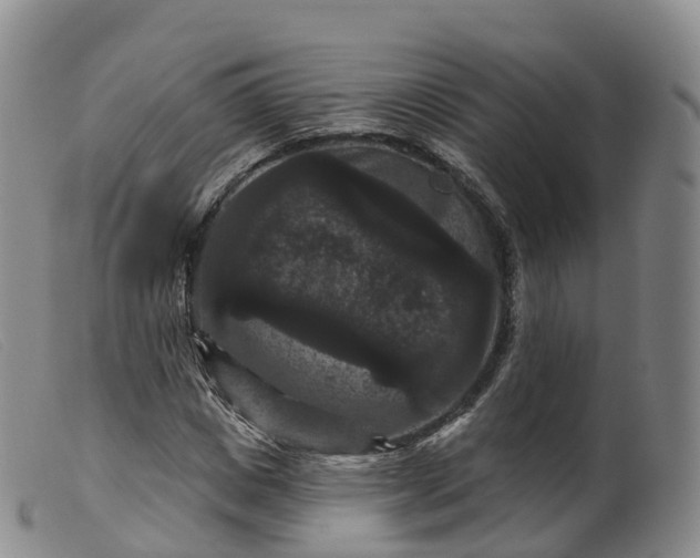 X0000099380825200805221803