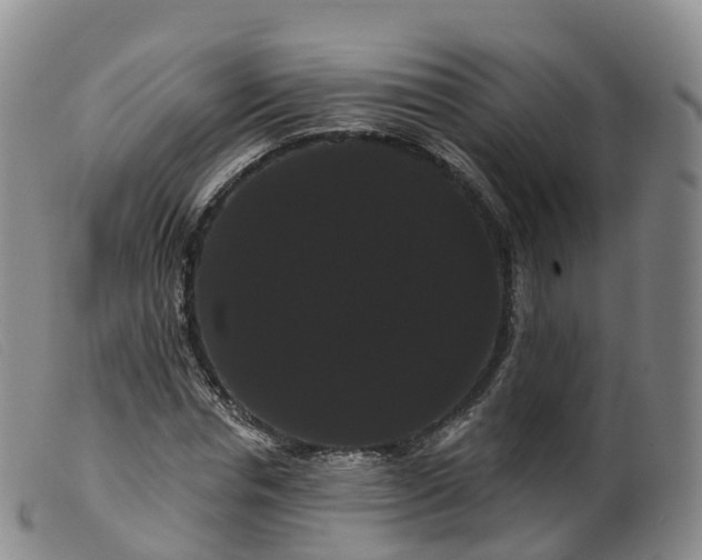 X0000099380826200805221804