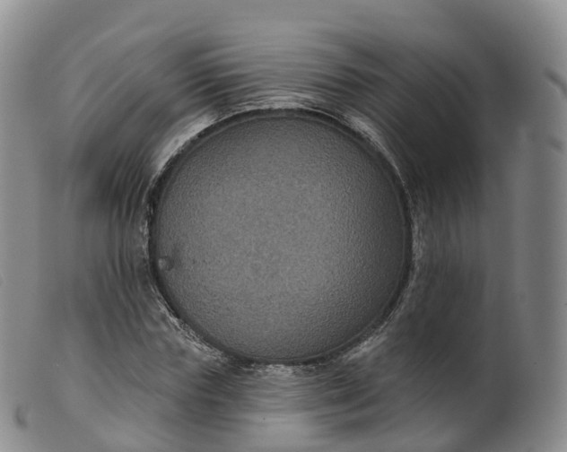 X0000099380827200805221804