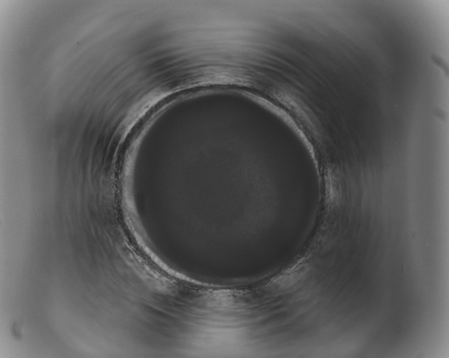 X0000099380828200805221804