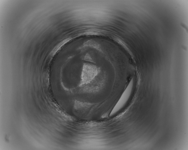 X0000099380829200805221804