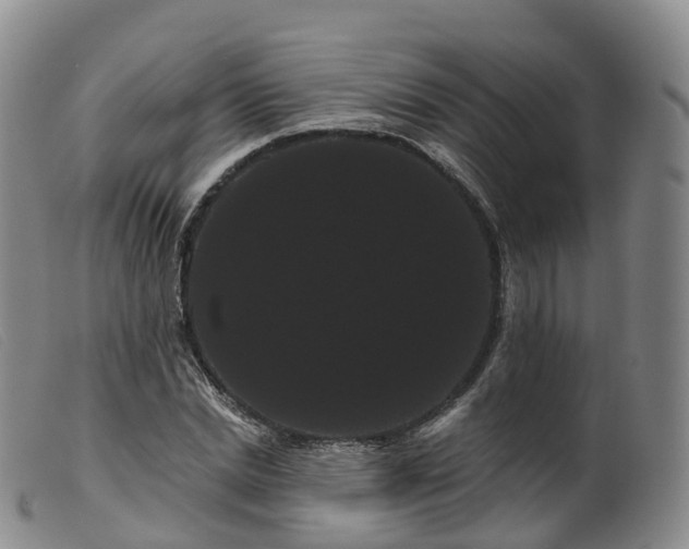 X0000099380830200805221804