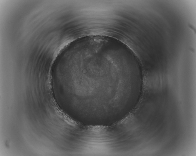 X0000099380832200805221804