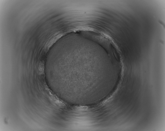 X0000099380833200805221804