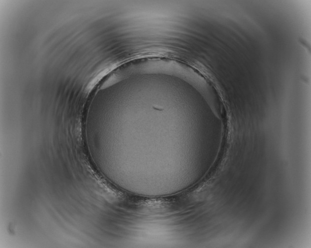 X0000099380834200805221804