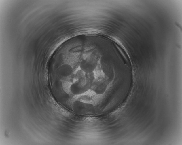 X0000099380835200805221804