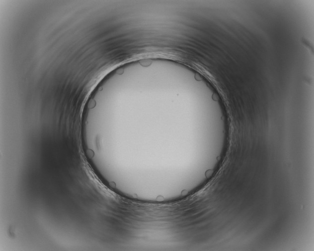 X0000099380836200805221804