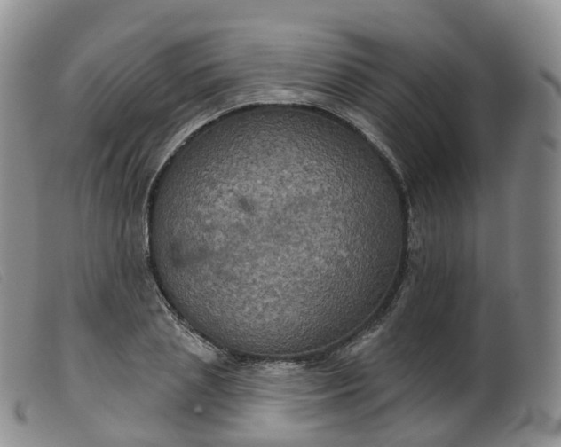 X0000099380837200805221804