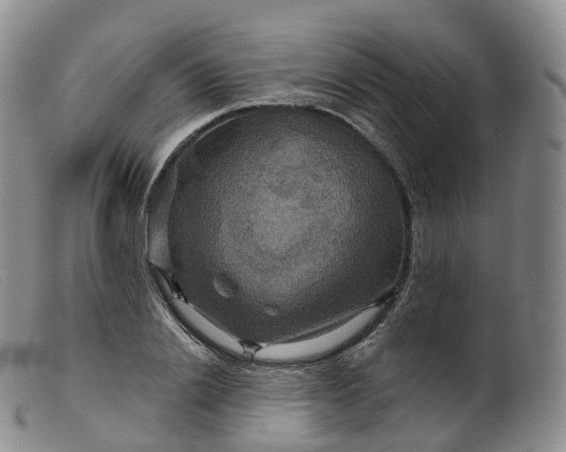 X0000099380838200805221804