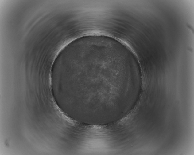 X0000099380839200805221804