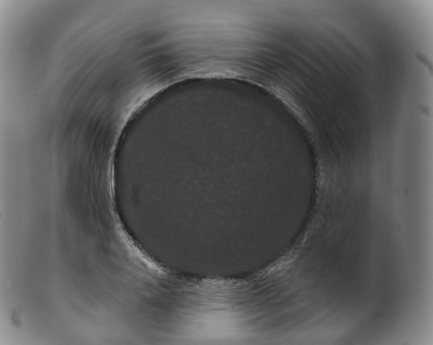 X0000099380840200805221804