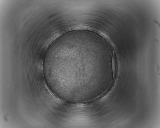 X0000099380841200805221804