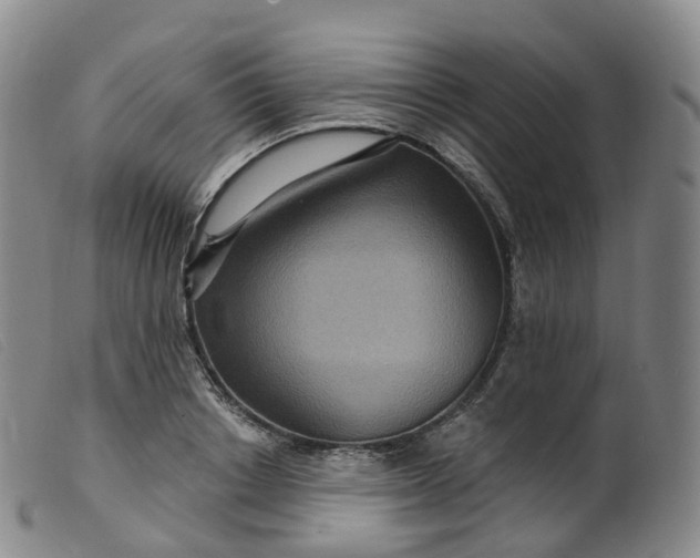 X0000099380842200805221804