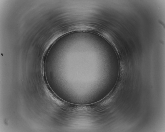 X0000099380843200805221804