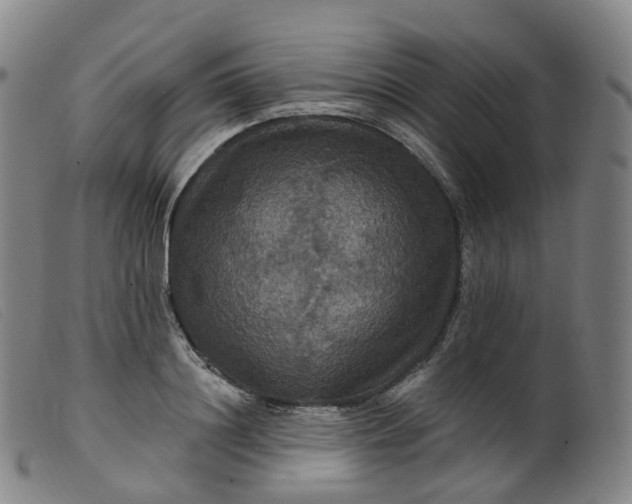 X0000099380844200805221804