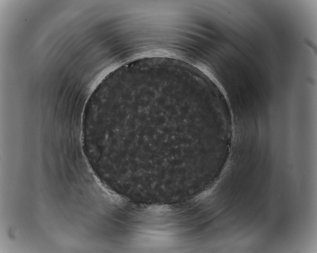 X0000099380845200805221804