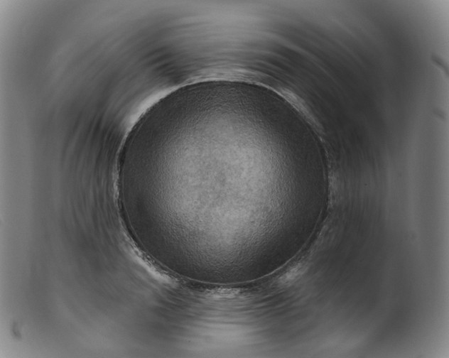 X0000099380846200805221804