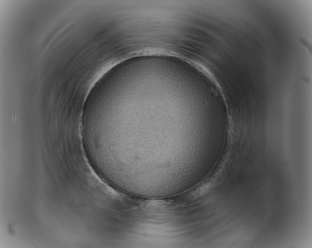 X0000099380847200805221804