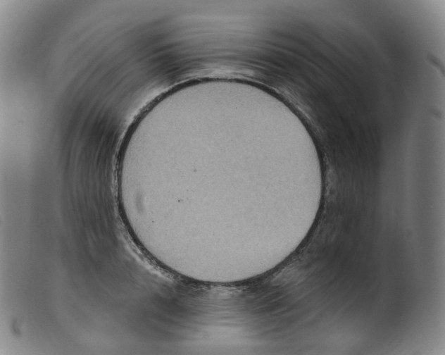 X0000099380848200805221804