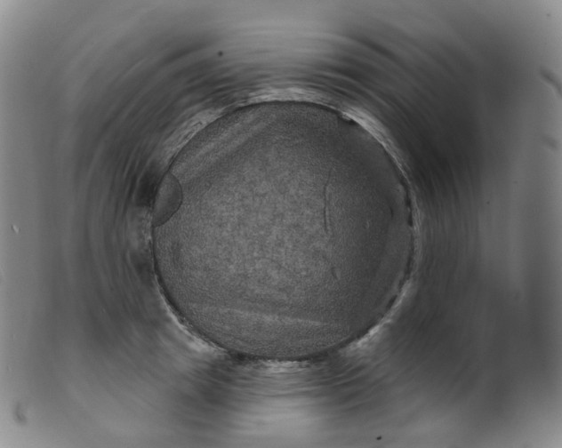 X0000099380849200805221804