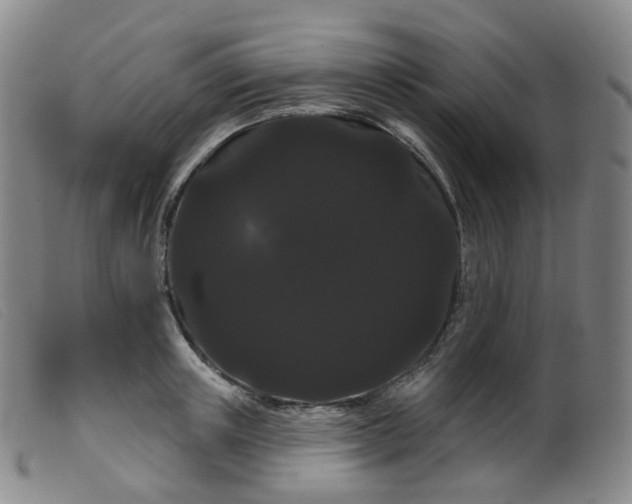 X0000099380851200805221804