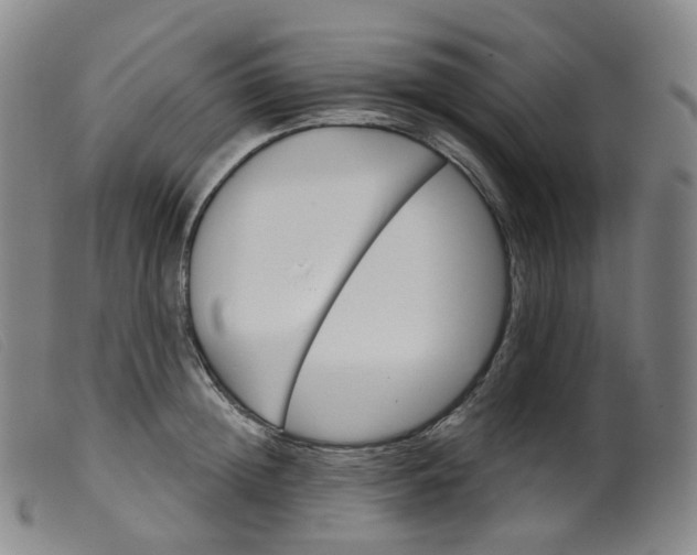 X0000099380852200805221804