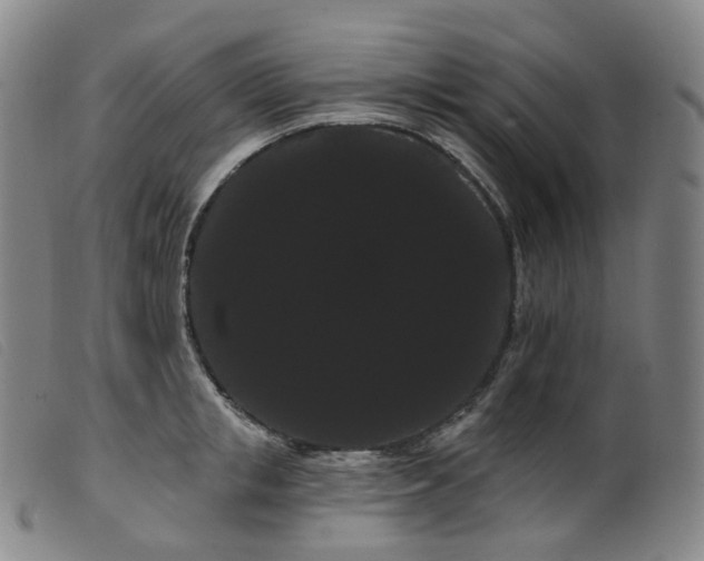 X0000099380853200805221804