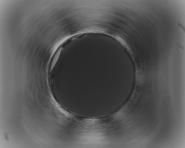 X0000099380854200805221804