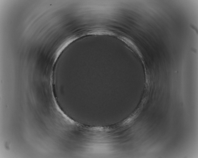 X0000099380855200805221804