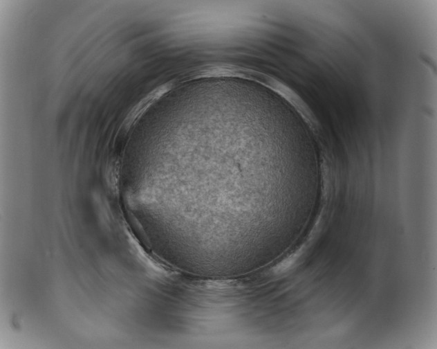 X0000099380857200805221804