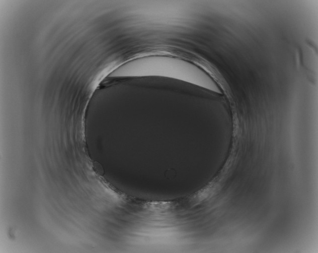 X0000099380858200805221804