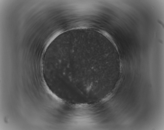 X0000099380859200805221804