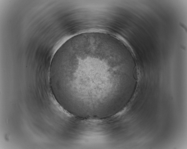 X0000099380860200805221804