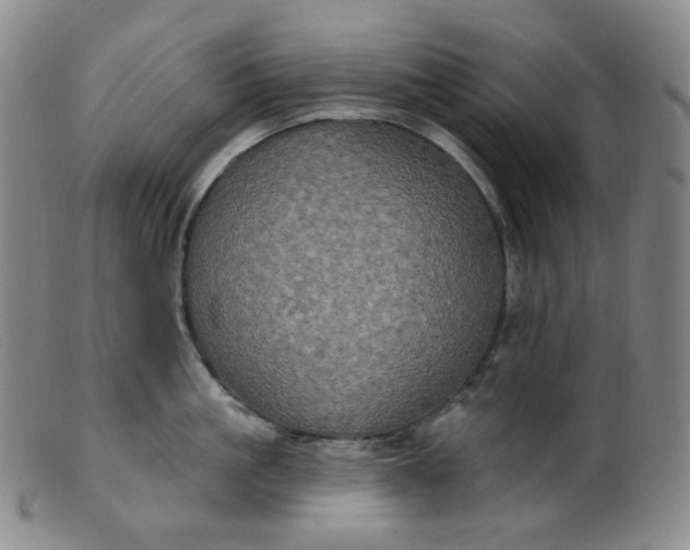 X0000099380861200805221804