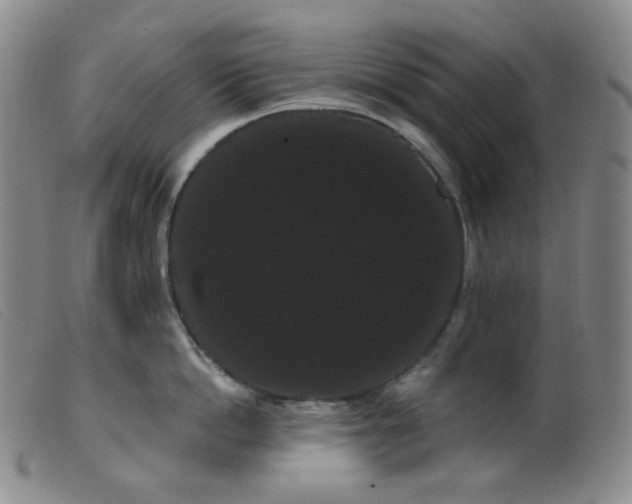 X0000099380862200805221804