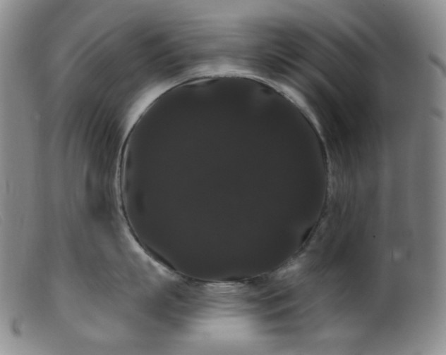 X0000099380863200805221804