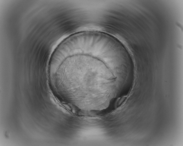 X0000099380864200805221804