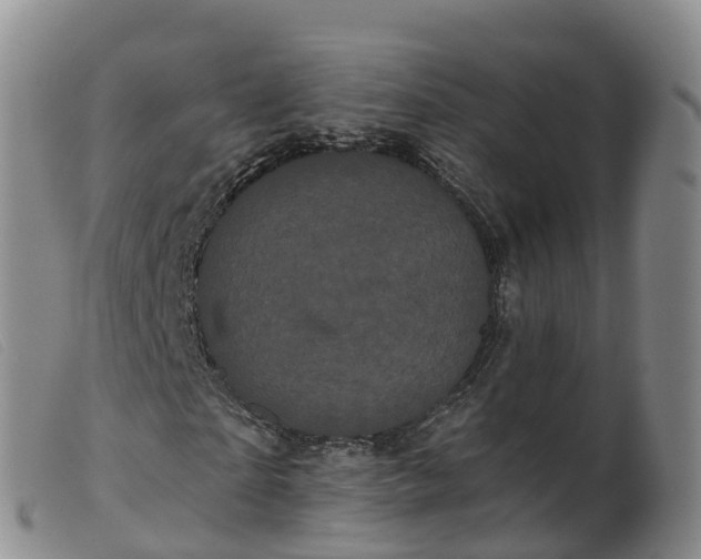 X0000099380865200805221803