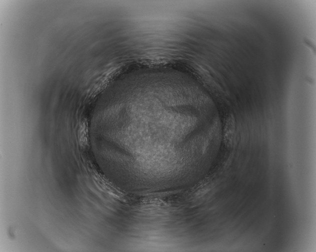 X0000099380866200805221803