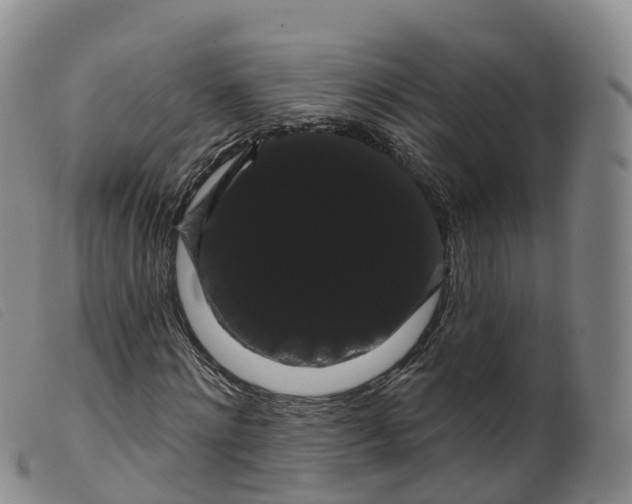 X0000099380868200805221803