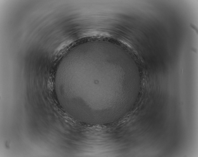 X0000099380869200805221803