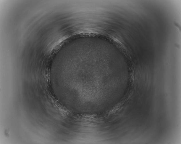 X0000099380870200805221803