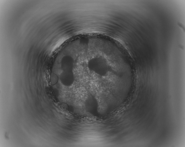 X0000099380871200805221803