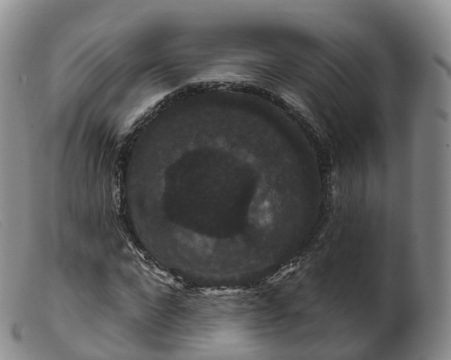 X0000099380872200805221803