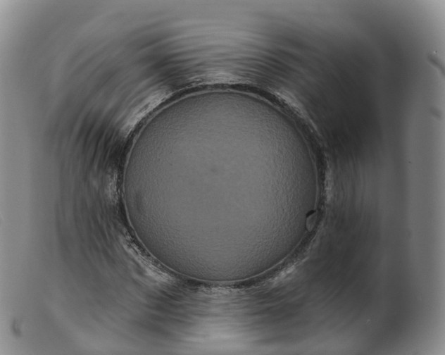 X0000099380873200805221803