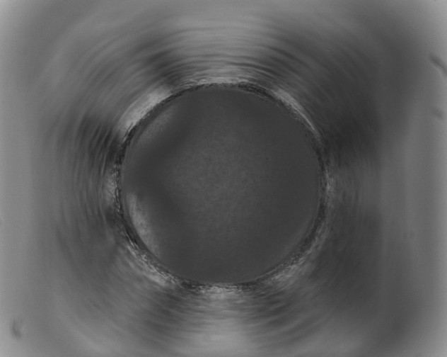 X0000099380874200805221803