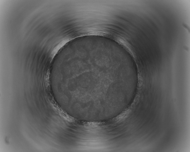 X0000099380875200805221803