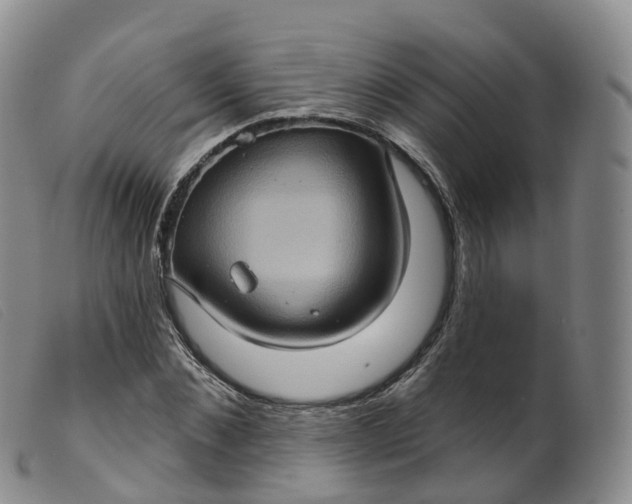 X0000099380876200805221803