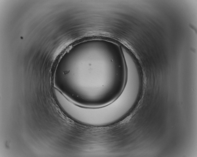 X0000099380877200805221803