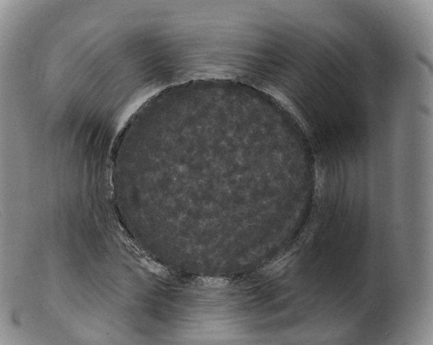 X0000099380878200805221803